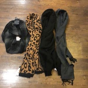 Lot of 4 Variety Scarves from Nordstrom NWT
